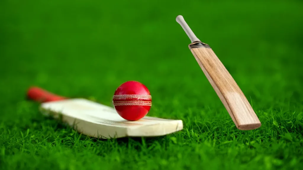 Tennis Cricket Bat